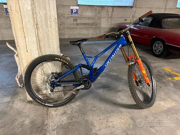Specialized demo race