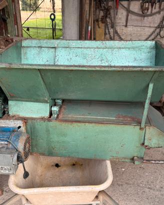 Pigiadiraspatrice Elettrica