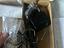 Immagine 3