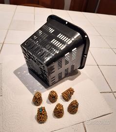 Cesto e osmocote per ninfea tropicale