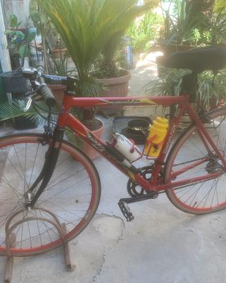 Bici da corsa