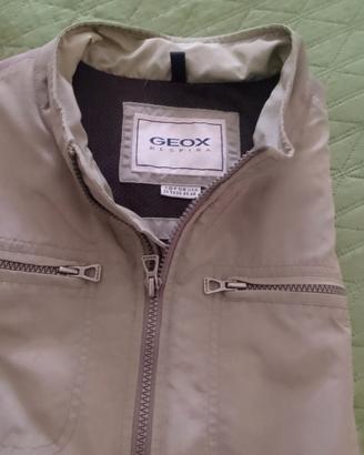 giubbino geox