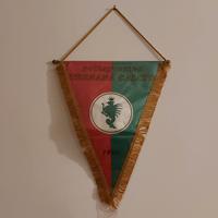 Gagliardetto Ternana Calcio