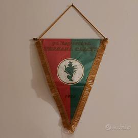 Gagliardetto Ternana Calcio