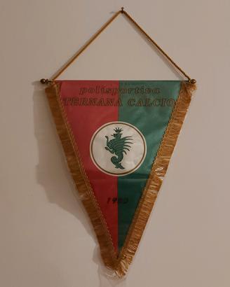 Gagliardetto Ternana Calcio