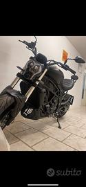 Benelli 502 c cruiser