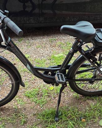 bici elettrica 