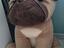 Immagine 2