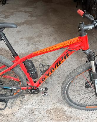 Olimpia mtb