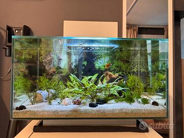 Acquario fluval edge 23l