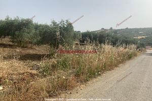 Terreno, Santa Flavia.