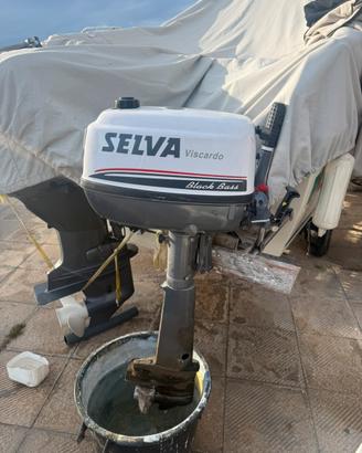 Selva 8 cv