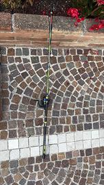 Canna trabucco hydrus