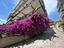 Immagine 23