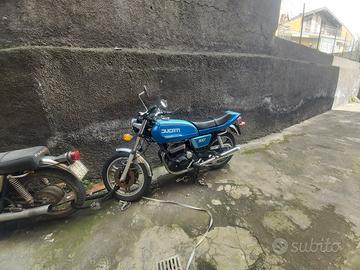  Ducati 500 gtv