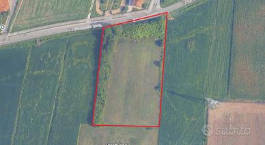 CALCROCI DI CAMPONOGARA Lotto di terreno di 8000mq