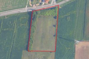 CALCROCI DI CAMPONOGARA Lotto di terreno di 8000mq