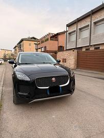 Jaguar e pace