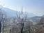 Immagine 17