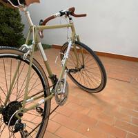 Bicicletta adriatica modificata