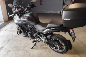 Benelli TRK 502 stradale