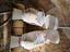 Immagine 4
