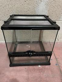 Teca in vetro/terrario