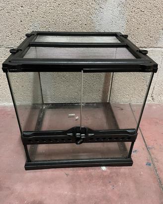 Teca in vetro/terrario