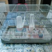 GABBIA 55 - NIDO - MANGIATOIE