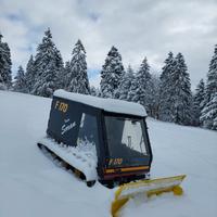 Gatto delle nevi Battipista Favero F170