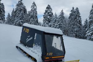 Gatto delle nevi Battipista Favero F170
