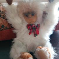 Scimpanzé anni 60/70