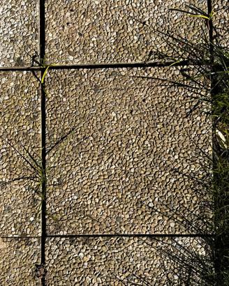 piastrelloni giardino 40x40