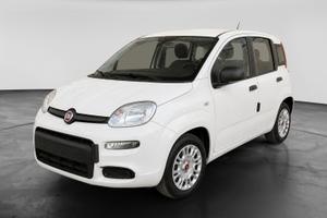 FIAT Panda III 2021 - Panda 1.0 firefly hybrid Cit