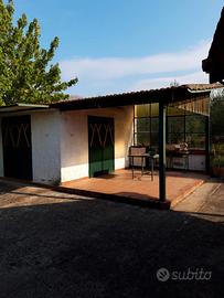 Compendio indipendente con fabbricati e terreno