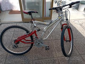 bicicletta 