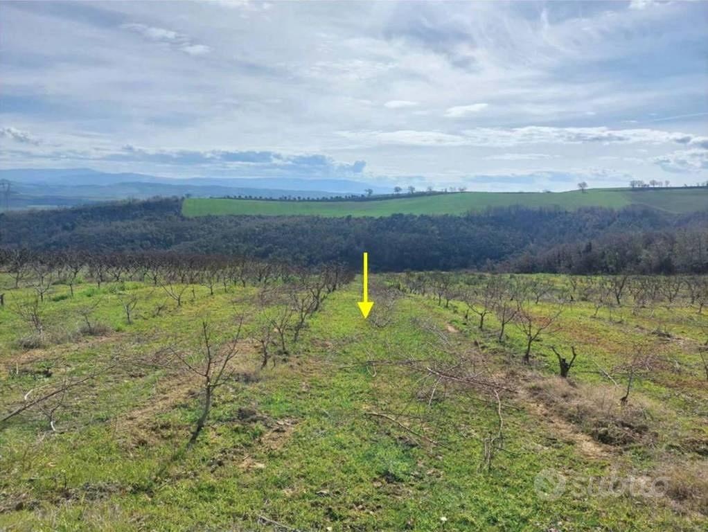 Immobile in asta di 3040 m² a Altomonte - Vista 3
