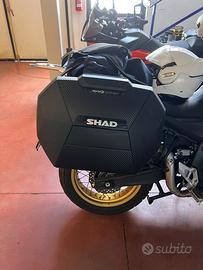 Shad SH38X