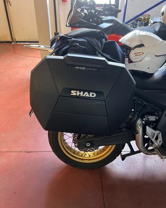 Shad SH38X