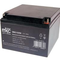 1 Batteria al piombo ricaricabile 12V 25 ah
