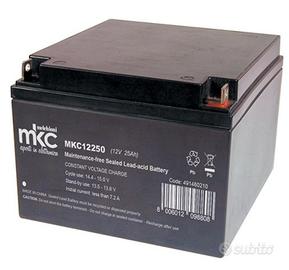 1 Batteria al piombo ricaricabile 12V 25 ah