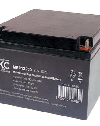 1 Batteria al piombo ricaricabile 12V 25 ah