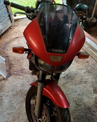yamaha tdm 800