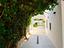Immagine 11