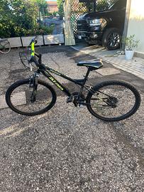 Bicicletta
