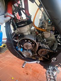 motore am6 80voca