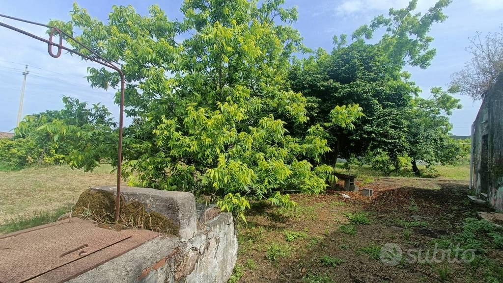 Rustico / Casale di 157 m² con 4 locali a Giarre - Altro