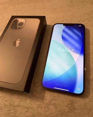 iPhone 13 Pro Max