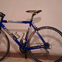 wilier escape competition 