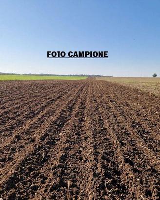 Terreno di 9436 m² a Lonigo